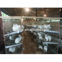 Wire Mesh Rabbit Cage For Sale (preço de venda direto de fábrica, boa qualidade, entrega rápida)